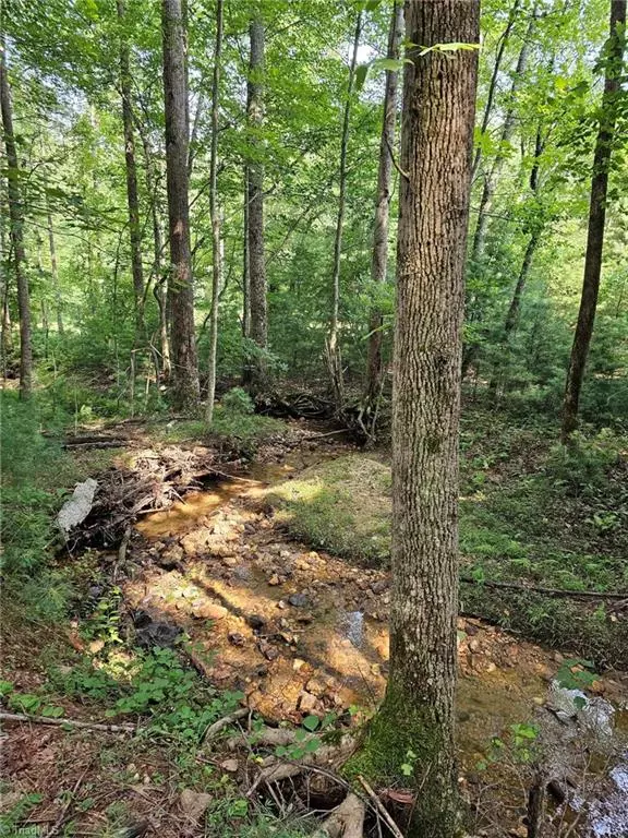 Lowgap, NC 27024,LOT 82 Mcintosh DR