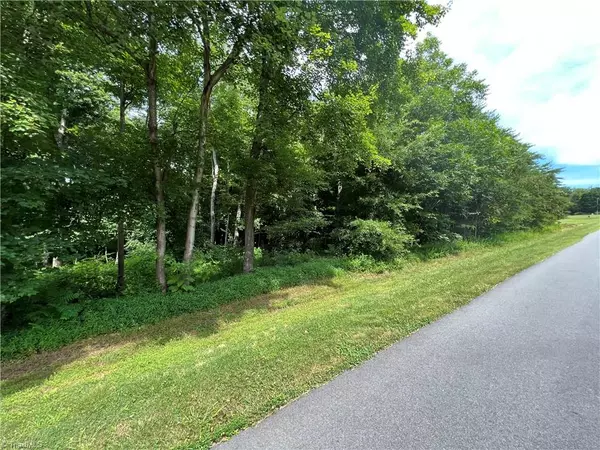 Tobaccoville, NC 27050,2.01 Creek Farm RD