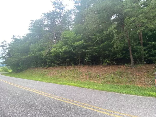 North Wilkesboro, NC 28659,02 TBD Mulberry RD