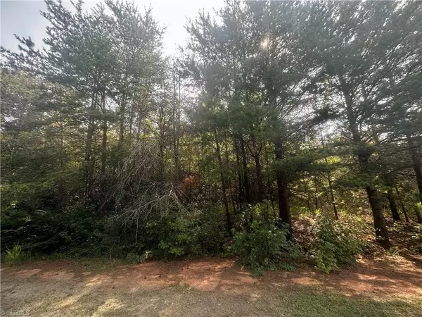 Ruffin, NC 27326,Lot 6 Whitestone CT