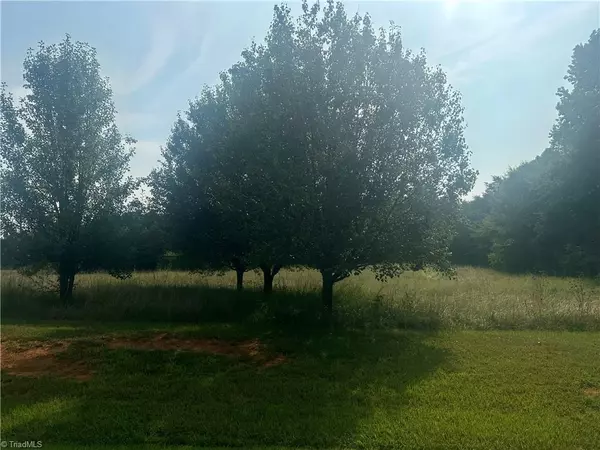 Ruffin, NC 27326,Lot 7 Whitestone CT