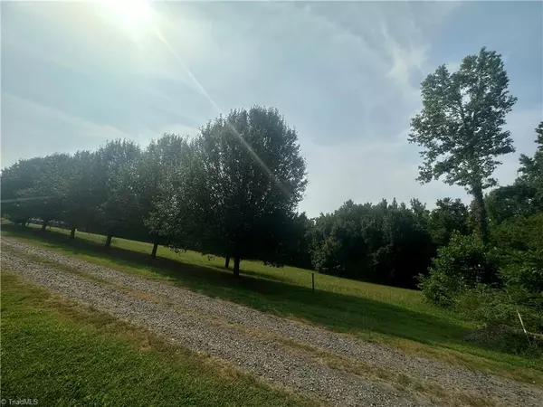 Ruffin, NC 27326,Lot 16 Whitestone DR