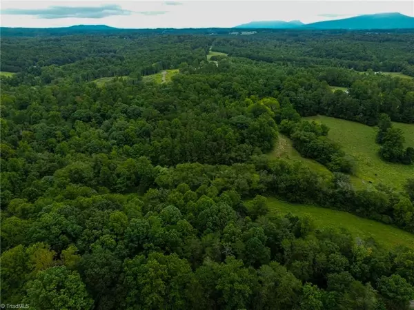 Pilot Mountain, NC 27041,900 Old Westfield RD