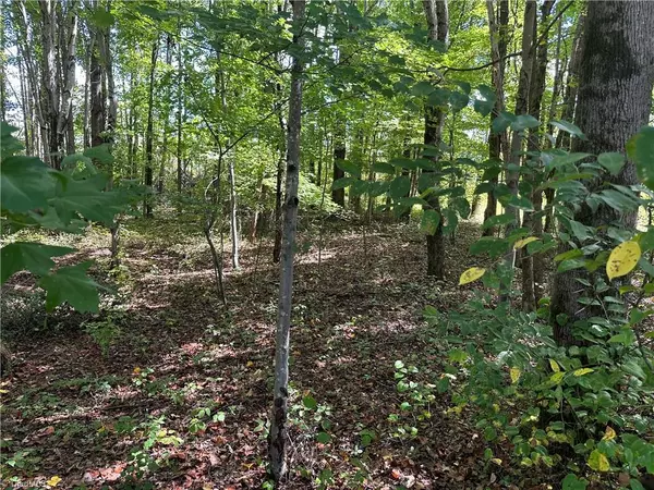 Walkertown, NC 27051,5083 Donna Marie CT