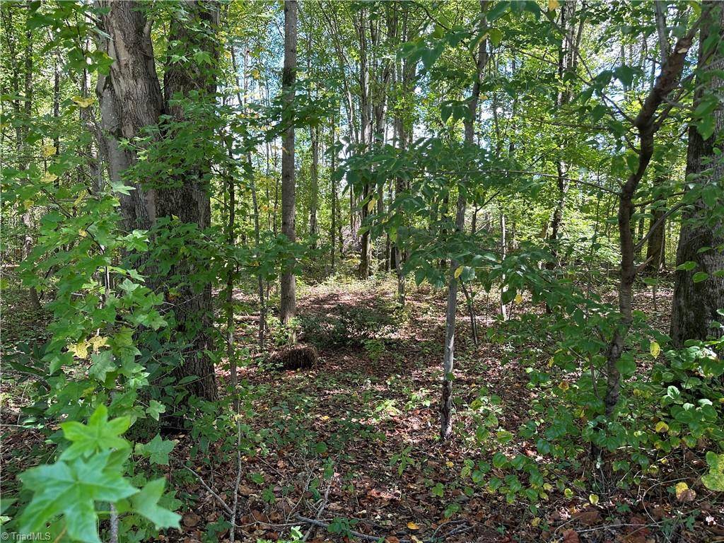 Walkertown, NC 27051,5083 Donna Marie CT