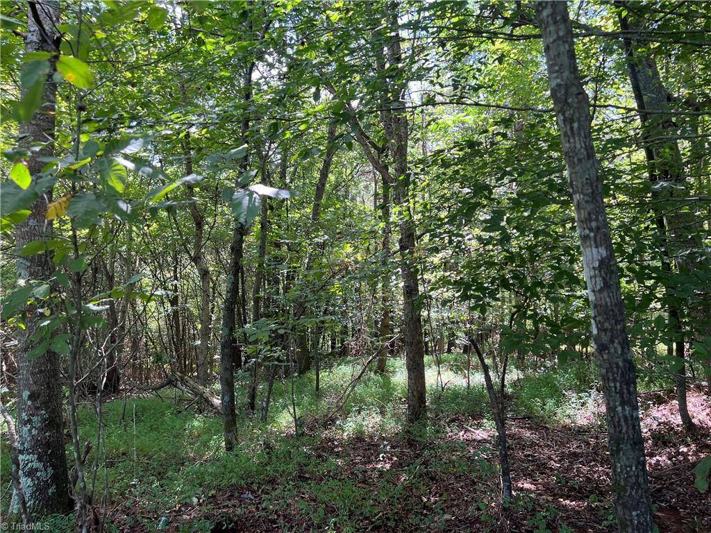 Pinnacle, NC 27043,0 Corner RD