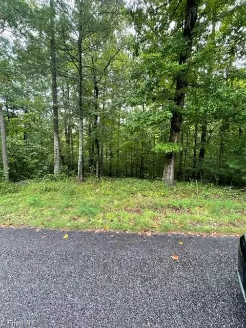 Wilkesboro, NC 28697,22 Triple Cove DR