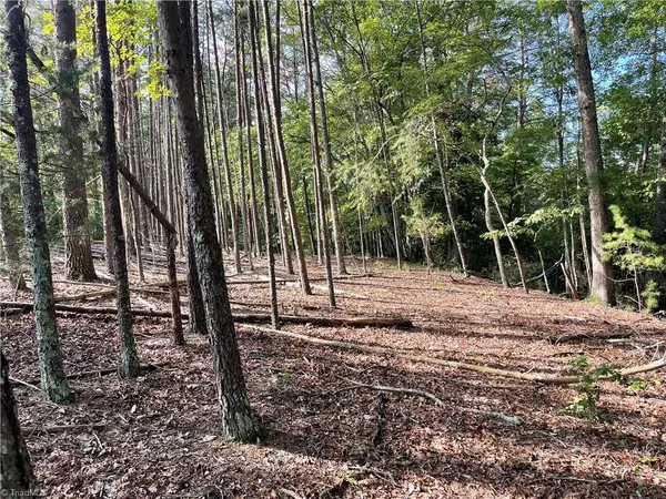 Westfield, NC 27053,7.99 acres Mickey RD