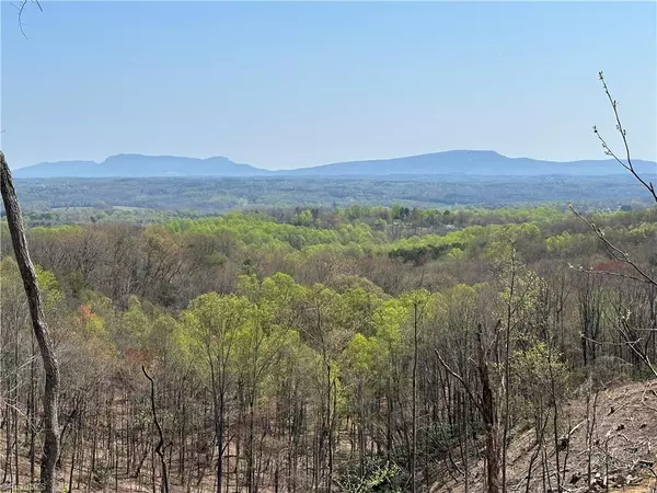 4 Howell RD, Pilot Mountain, NC 27041