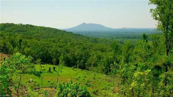 Pilot Mountain, NC 27041,5 Howell RD