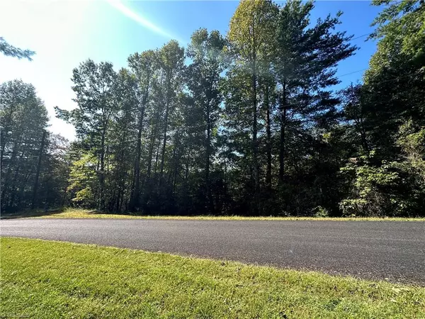 Wilkesboro, NC 28697,TBD Lake Forest DR