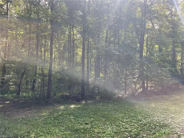 Snow Camp, NC 27349,0 Swannie Coble RD