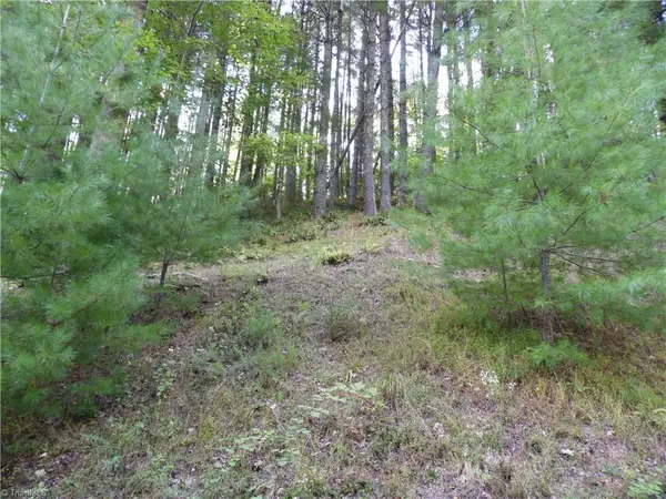 Piney Creek, NC 28663,TBD Woodlands DR