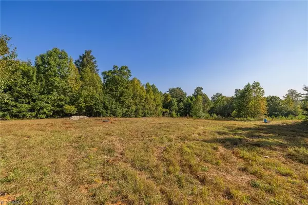 Asheboro, NC 27205,Lot 100 Woods Stream LN