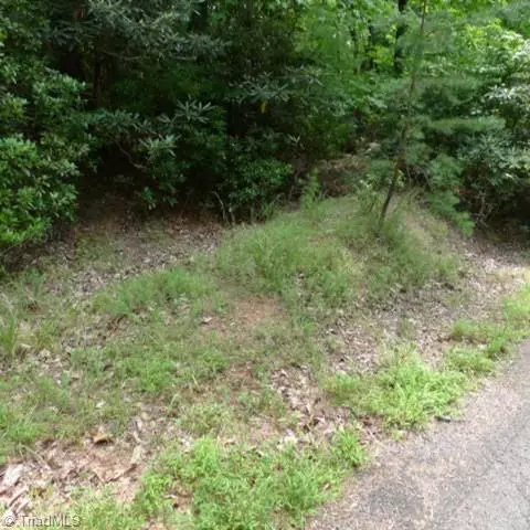 Lowgap, NC 27024,Lot 17 Mountain View DR