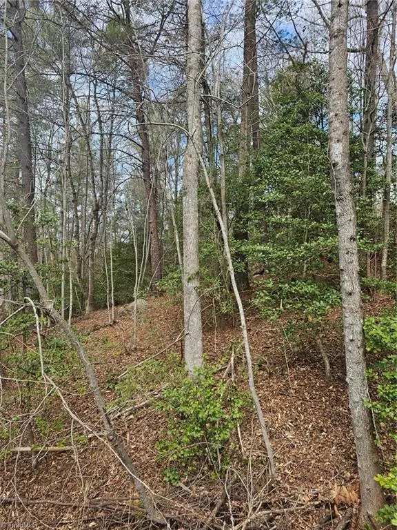 Wilkesboro, NC 28697,Lot 10 Linda Carol AVE