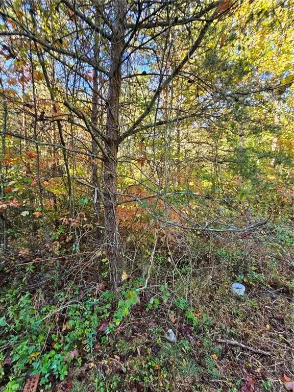 Lot 22, & 23 Brooklin ST, Wilkesboro, NC 28697