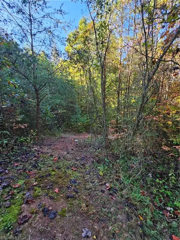 Lot 21 Brooklin ST, Wilkesboro, NC 28697