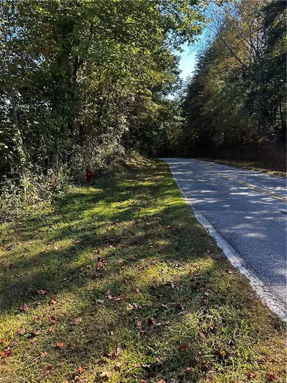 Wilkesboro, NC 28697,000 S Holiness Church RD