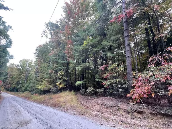 Millers Creek, NC 28651,TBA Timber Ridge RD