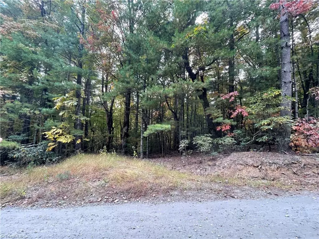 Millers Creek, NC 28651,TBA Timber Ridge RD