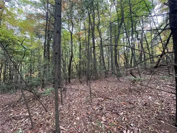 Millers Creek, NC 28651,TBA Timber Ridge RD