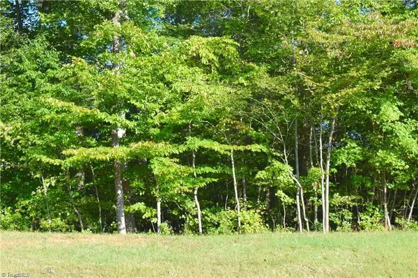 King, NC 27021,Lot 35 Scenic Ridge PL