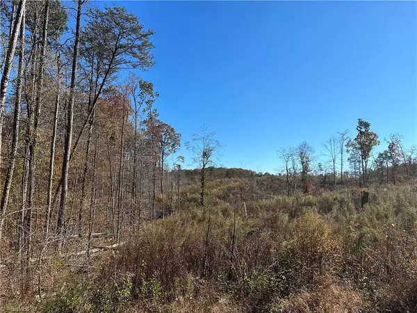 Yadkinville, NC 27055,0 Georgia RD