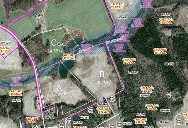 Woodleaf, NC 27054,000 Tract L Chaffin RD