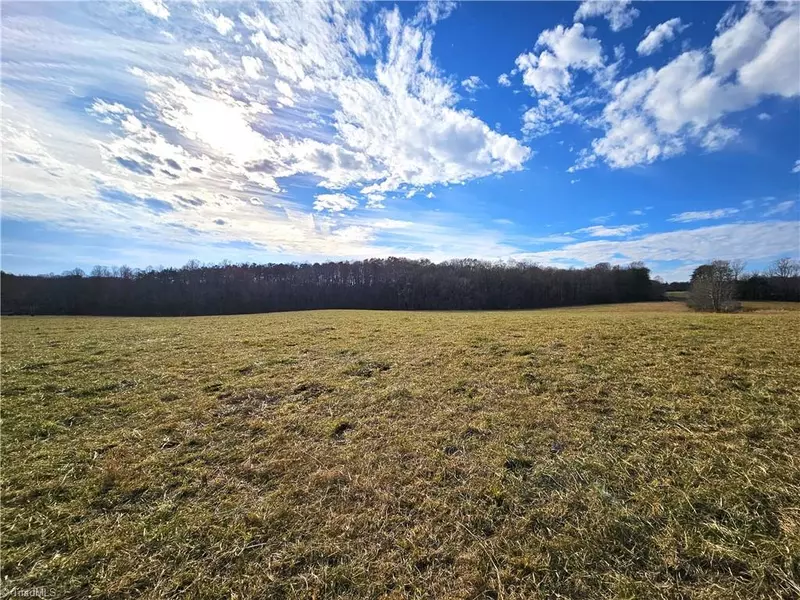 xx 29.41 acres Locust Grove RD, Westfield, NC 27053