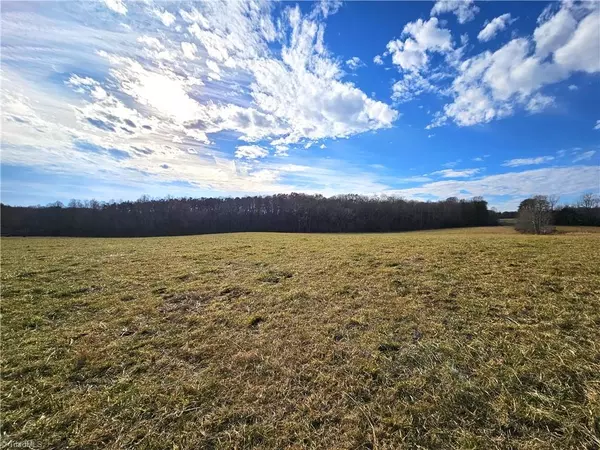 xx 29.41 acres Locust Grove RD, Westfield, NC 27053