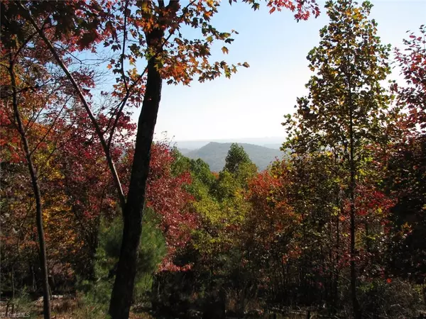 Hays, NC 28635,Lot #13 Overland TRL