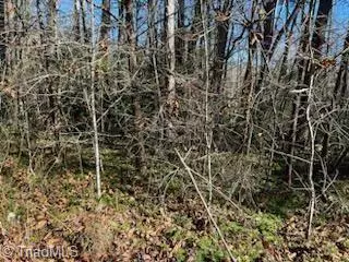 Jonesville, NC 28642,Lot 7 Stevens DR