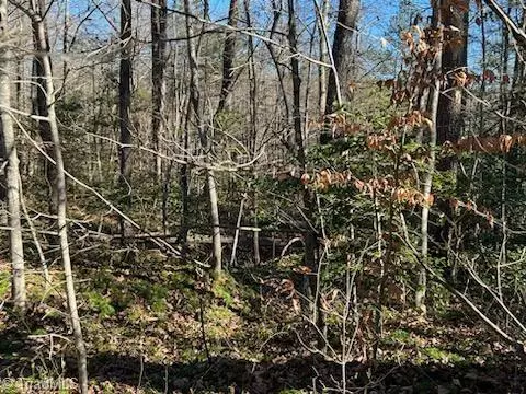 Jonesville, NC 28642,Lot 7 Stevens DR