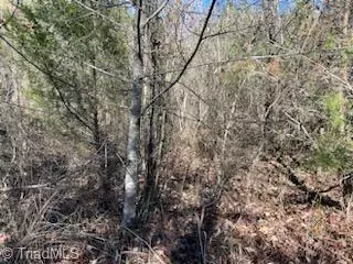 Jonesville, NC 28642,Lot 9 Stevens DR