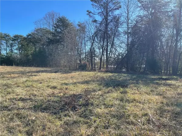 Pinnacle, NC 27043,Lot 3 High Bridge RD