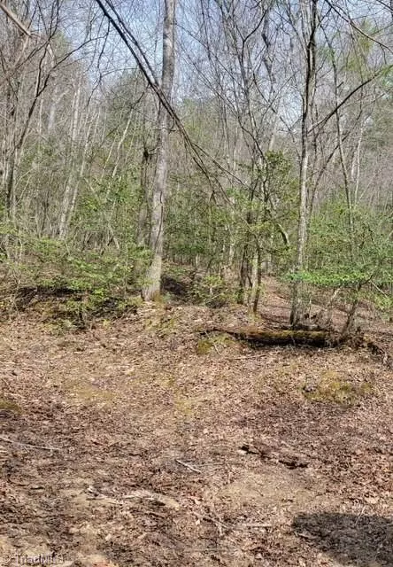 Mount Airy, NC 27030,0001 Montana DR