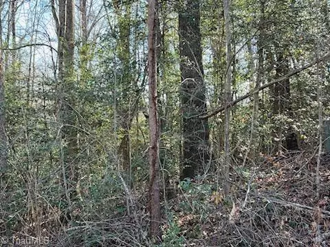 Jonesville, NC 28642,Lot 17 Stevens DR