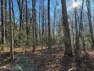 Jonesville, NC 28642,Lot 21 Stevens DR