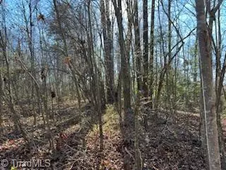 Jonesville, NC 28642,Lot 21 Stevens DR