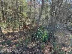 Jonesville, NC 28642,Lot 22 Woodruff RD