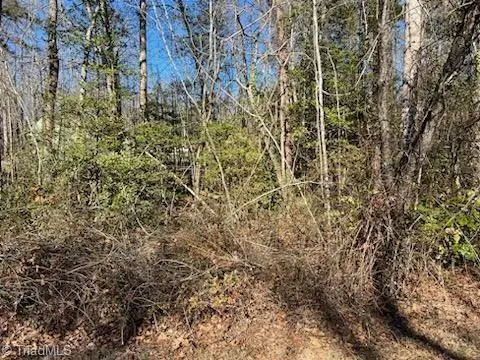 Jonesville, NC 28642,Lot 22 Woodruff RD