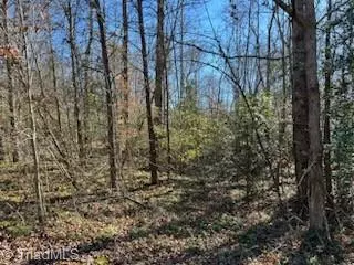 Jonesville, NC 28642,Lot 31 Stevens DR