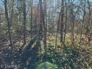 Jonesville, NC 28642,Lot 31 Stevens DR