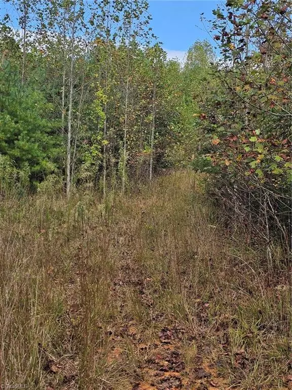 North Wilkesboro, NC 28659,Lot 19 Off Dowell Ridge RD