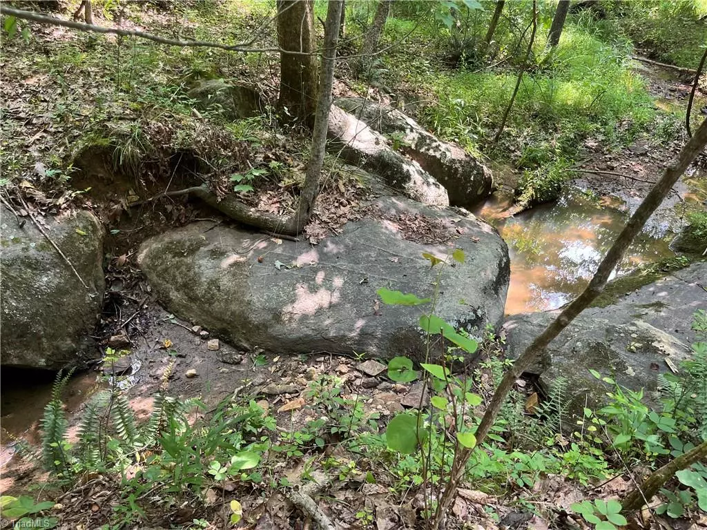 Rural Hall, NC 27045,00 Emorywood RD