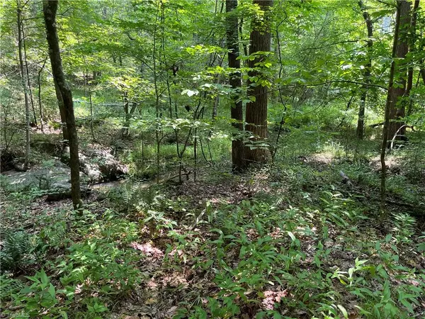 Rural Hall, NC 27045,00 Emorywood RD