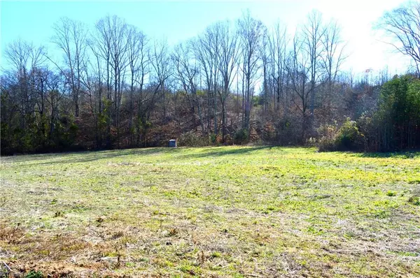 Ruffin, NC 27326,00 Schoolfield RD