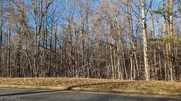 Summerfield, NC 27358,170 Hash LN