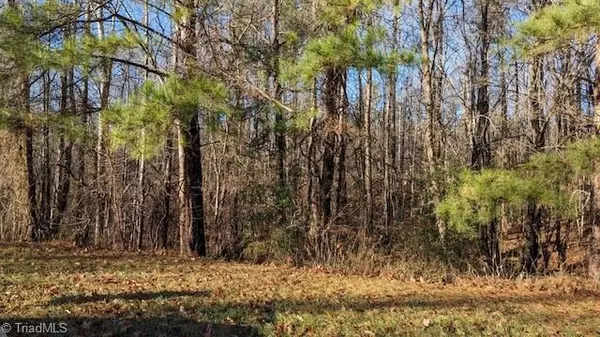 Summerfield, NC 27358,170 Hash LN